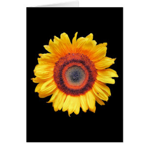 CARTE D'ACCUEIL DE SOUFFLE