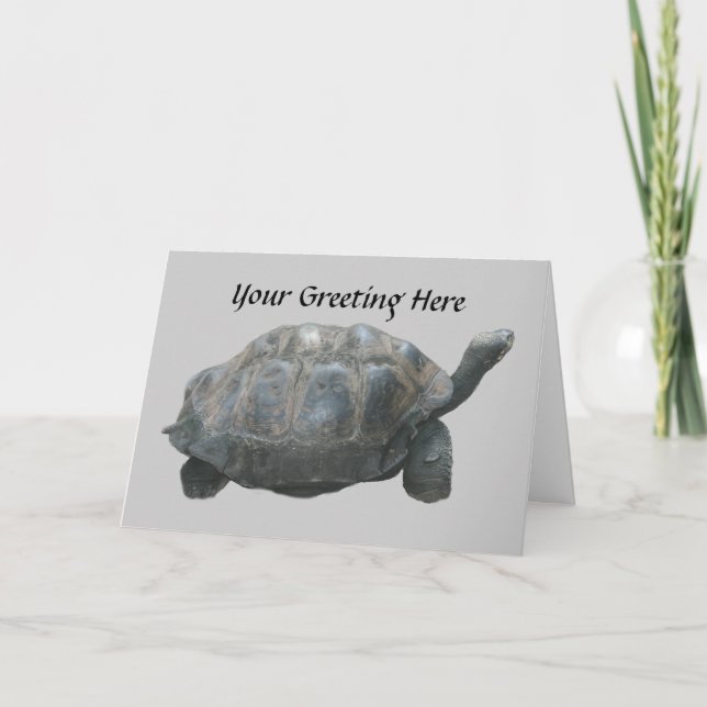 Carte d'accueil de Turtle Slow Down (Devant)