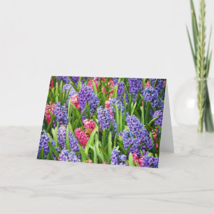 Carte d'accueil pour hyacinthe rose et violet