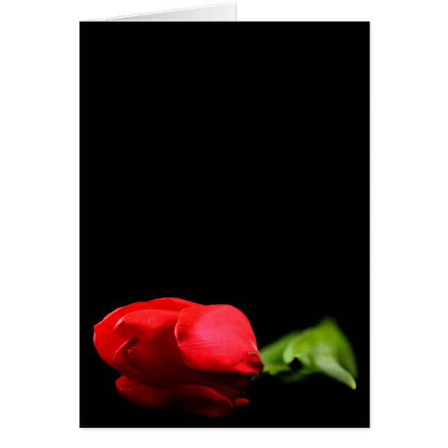 Carte d'accueil Tulip (Devant)