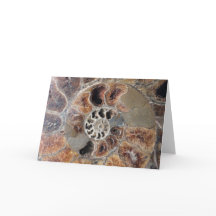 Carte d'accueil vide de charbon de coquille spiral