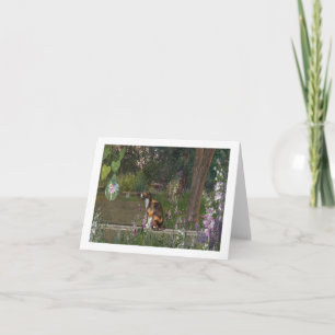 Carte d'achat de rosée