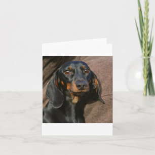Carte dachshund noir et feu