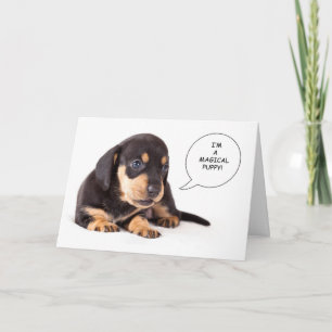 Carte Dachshund Puppy Get Well Card