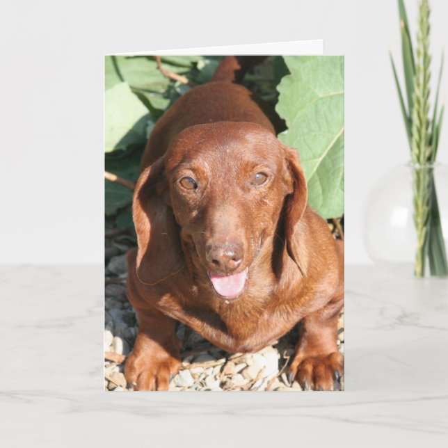 Carte Dachshund Thinking of you Card (Devant)