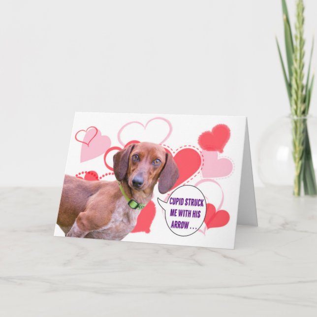 Carte Dachshund Valentine's Day Card (Devant)