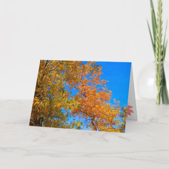 Carte d'action de grâce et d'automne 2 (Devant)