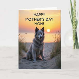 Carte d'affection pour chien au coucher du soleil