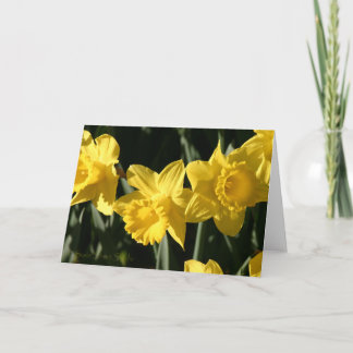 Carte Daffodil 023