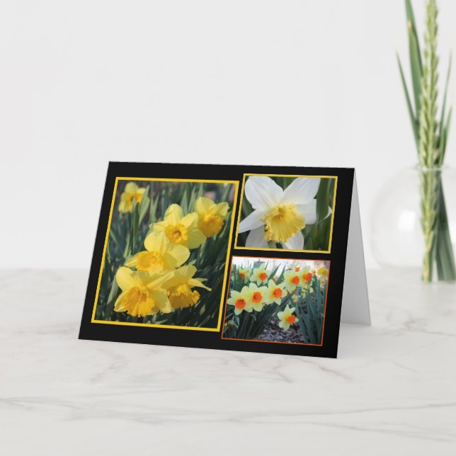 Carte Daffodil Trio (Devant)