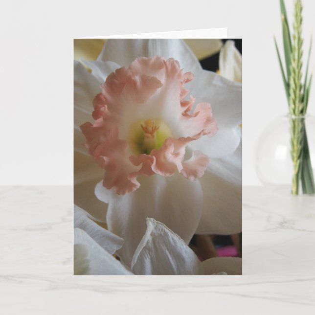 Carte Daffodile (Devant)