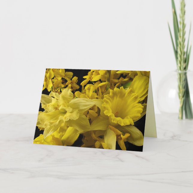 Carte Daffodils et Fête des mères de Forsythia (Devant)