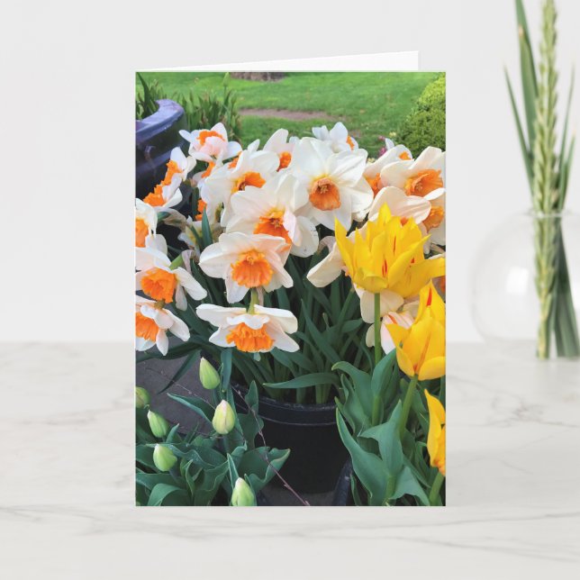 Carte Daffodils et tulips, Oregon (Devant)