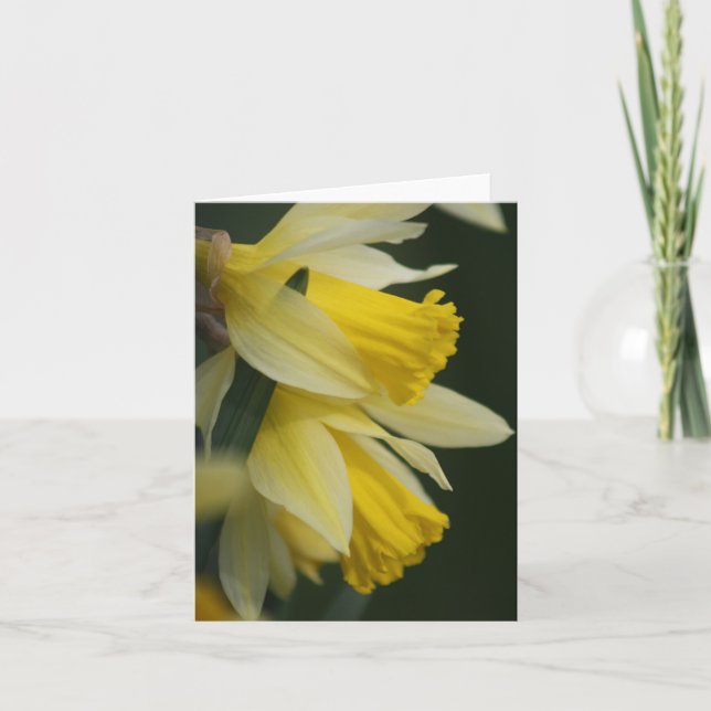 Carte Daffodique (Devant)
