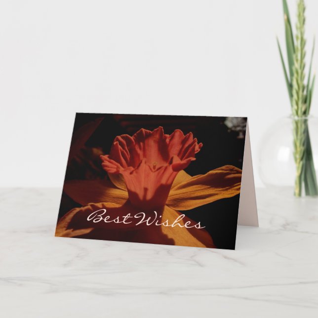 Carte Daffodique Best Wives (Devant)