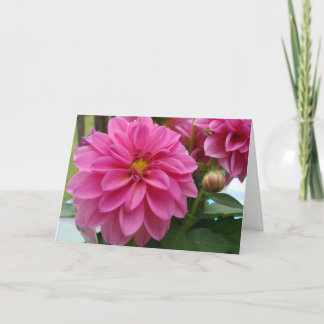 Carte Dahlia Basic Hello