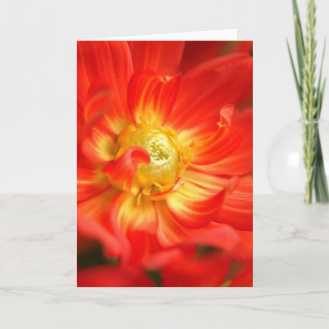 Carte dahlia de rouge du feu (Devant)