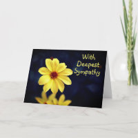 Dahlia Jaune Fleur Élégante Avec Une Sympathie Pro