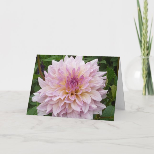 Carte Dahlia rose (Devant)