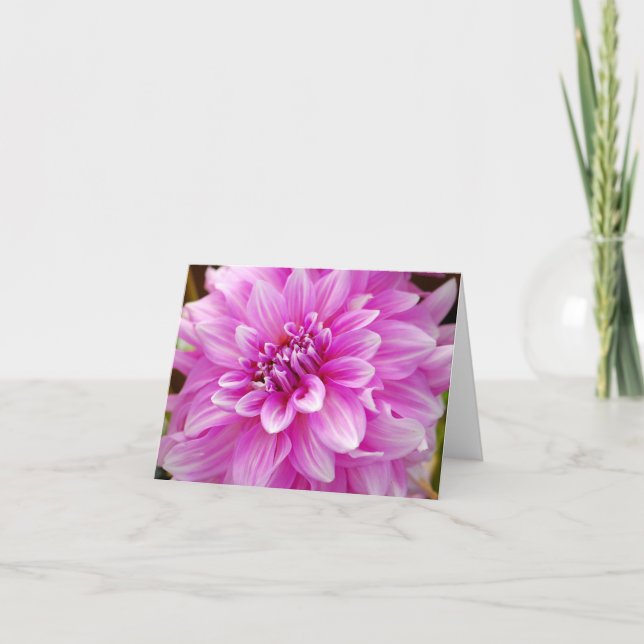 Carte Dahlia rose (Devant)
