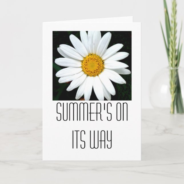 Carte Daisy (Devant)