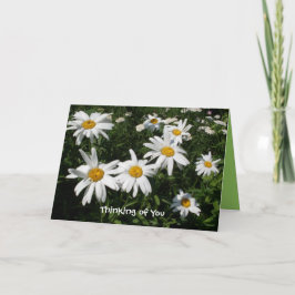 Carte Daisy Happy