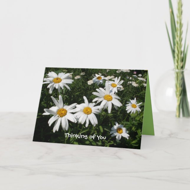 Carte Daisy Happy (Devant)