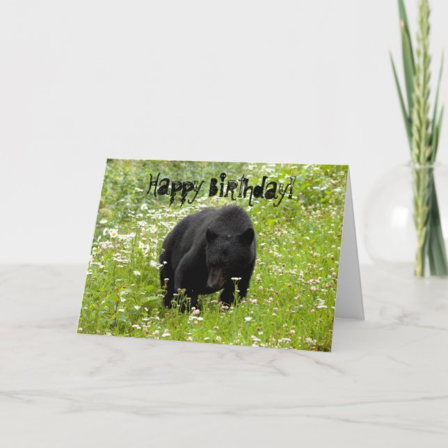 Carte Daisy L'Ours Noir ; Joyeux Anniversaire (Devant)