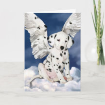 Dalmatian Angel Chiot