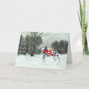 Carte Dalmatie en neige hivernale