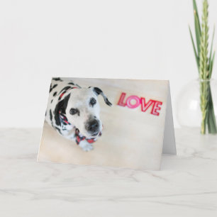 Carte dalmatienne de Valentines d'amour