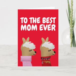 CARTE D'ALPACA LLAMA MOTHER