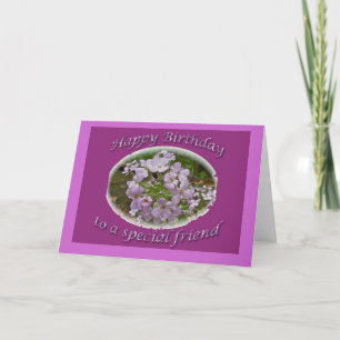 Carte d'ami d'anniversaire de Phlox de Lavendar