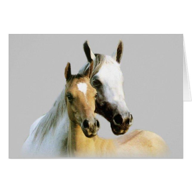 Carte d'amis de cheval (Devant horizontal)