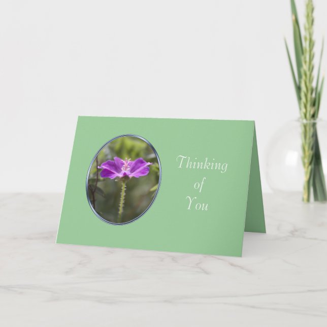 carte d'amitié (Devant)