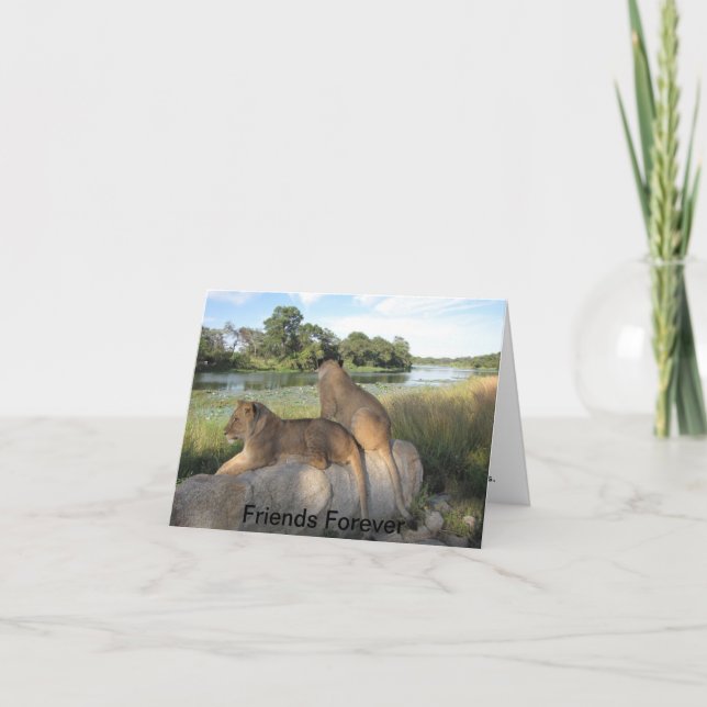 Carte d'amitié (Devant)