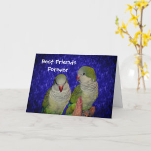 Carte d'amitié Meilleurs amis pour les oiseaux mig
