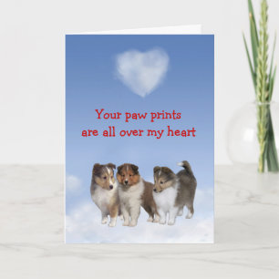 Carte d'amour de chiot de Sheltie