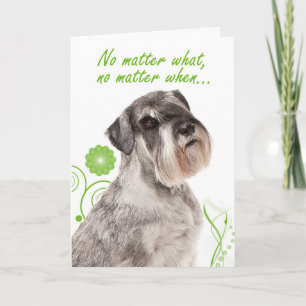 Carte d'amour/support Schnauzer