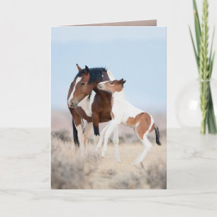 Carte Dancing at Dawn Wild Horse Greeting Card