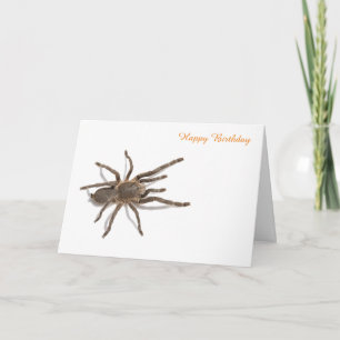 Carte d'anniversaire