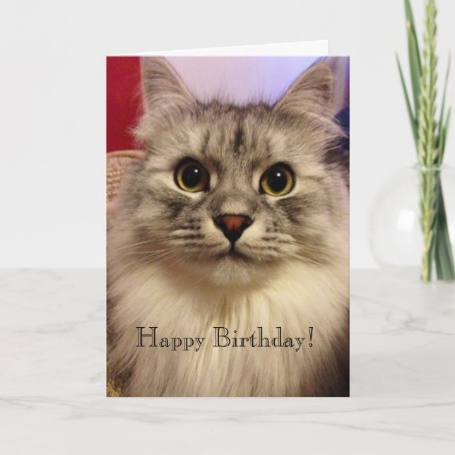 Carte d'anniversaire (Devant)