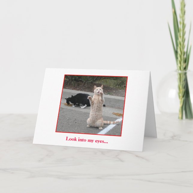 Carte d'anniversaire (Devant)