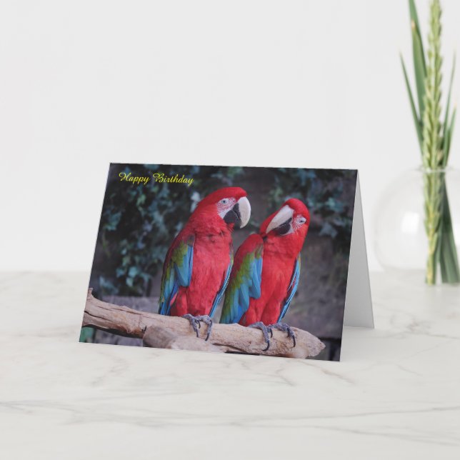 Carte d'anniversaire (Devant)