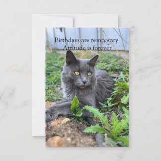 carte d'anniversaire