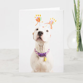 Carte d'anniversaire