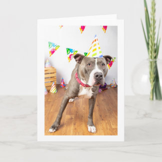 Carte d'anniversaire