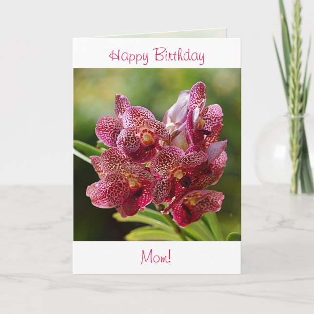 Carte d'anniversaire à orchidée Vanda tropicale (Devant)