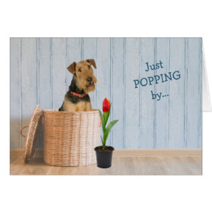 Carte d'anniversaire Airedale Terrier Dog Wicker B