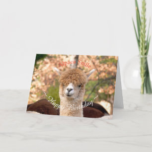 Carte d'anniversaire Alpaca Belle